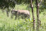 Sri Lanka Mimmo - 728